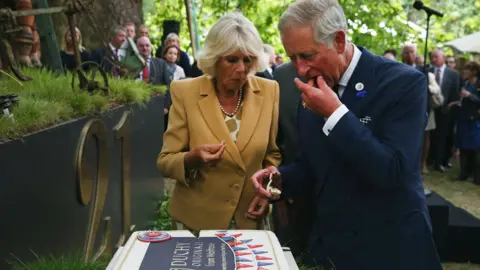 Getty Images Prince Charles