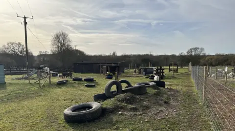 A general view of the farm. There are tyres on the ground and animals can be seen in the background. Further in the background, trees can be seen against the blue, cloudy sky.