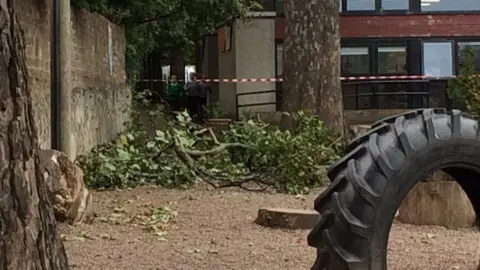 BBC Tinto Primary School