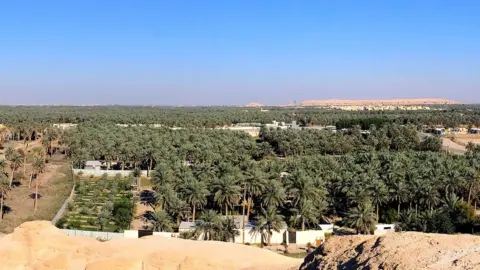 EPA Al-Ahsa oasis in Saudi Arabia