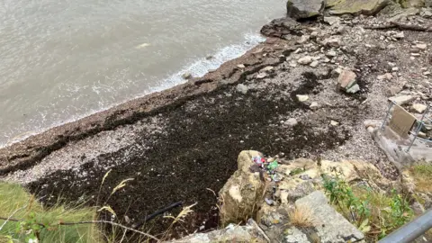 Image of Ladye Bay in Clevedon. Lots of rocks and mud can be seen on the coast, following a landslide. 