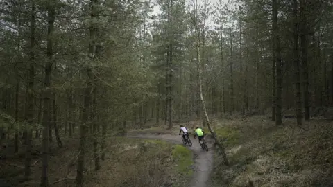 Forestry Commission Cannock Chase Forest