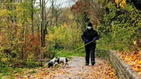 Northamptonshire Police A dog, on a yellow lead, is sniffing at the ground while its handler walks behind it. The path they are walking on is covered in orange and red leaves. 