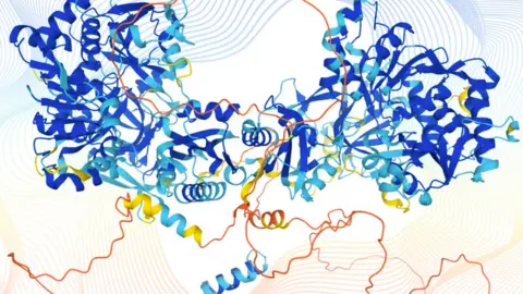 Karen Arnott Protein structure