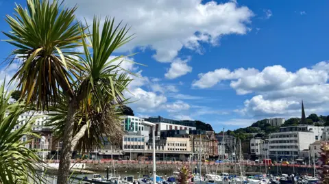 BBC Harbour with boats, a palm tree in the foreground.  There are buildings including a church and blue sky with clouds.