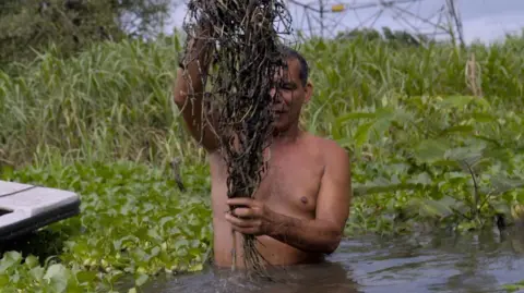 Fisherman standing up to his waist in water, holding up a clump of vegetation covered in dark mud, with green vegetation and the base of an electricity pylon behind him.