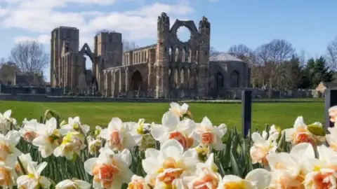 Becky Saunderson Elgin Cathedral