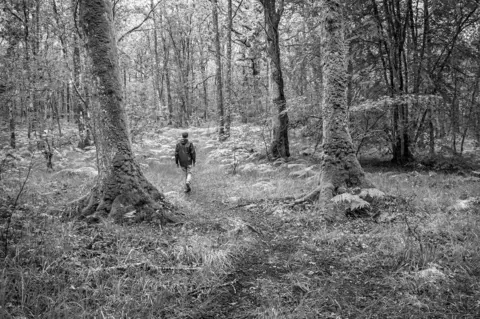 Getty Images A man walking alone in a wood