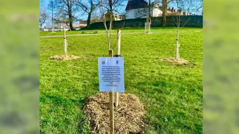 Andrew Varney A section of a park shows three saplings newly planted, along with a sign by Bristol City Council attached to one of the trees, which explains the trees were planted as part of a project of unity between Japan and the UK.