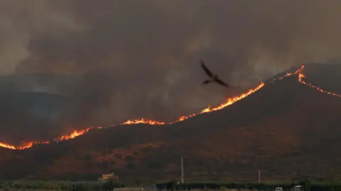 Reuters Deadly wildfires affecting Almeria province advance through the hills.