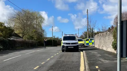 A police van and two police cars parked on a residential road. There are houses, trees, and a garden wall visible. It is a sunny day with blue sky and very light clouds. 