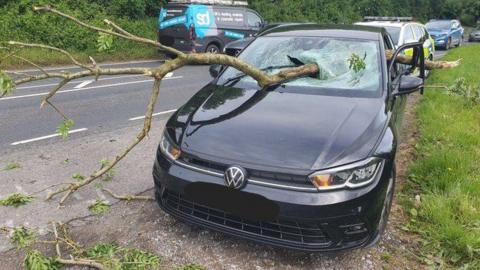 A black Volkswagen car with a large tree branch going through its windscreen and back out on the passenger side