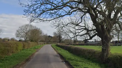 Road with trees and hedges either side