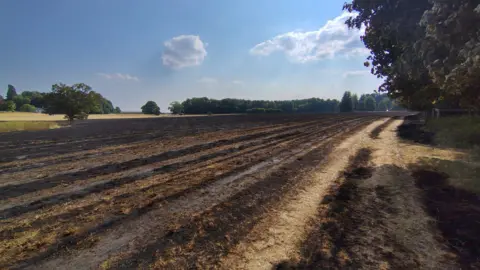 A large field burned after a fire there on Friday on a fine summer's day.