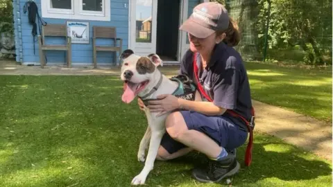 Brodie who has been at a rescue centre for 530 days