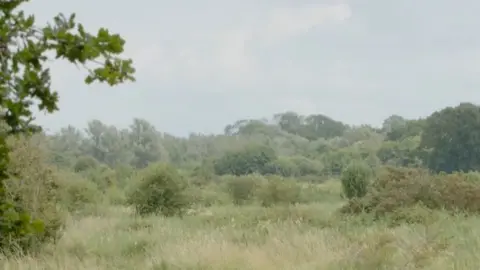 Suffolk Wildlife Trust Worlingham Marshes