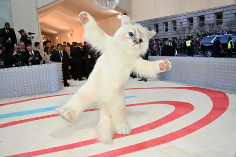 ANGELA WEISS/AFP US actor Jared Leto arrives in a cat costume for the 2023 Met Gala