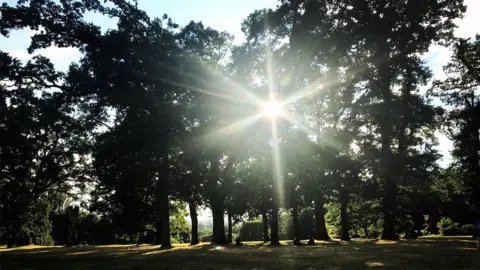 Esther Johnson South Park, Oxford