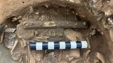 FAS Heritage/National Trust A closer view of the undamaged comb found in the ground during excavations. A black and white cylinder rests next to it to show the size of the comb. 