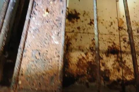 Portsmouth City Council Brown splattered dirt on a wall.