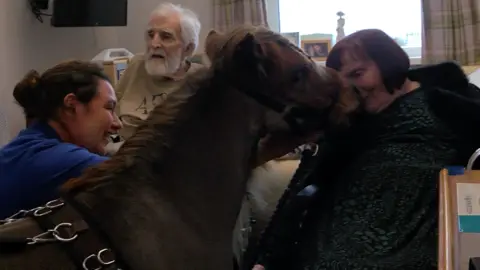 A group of people with a minature horse in a care home room.  At the back sitting in a chair is an elderly man with white hair.  Next to him in a wheelchair is his wife, she has short brown bobbed hair with a fringe, she is kissing the minature horse, named Mr Kelloggs.  The horse is in the foreground, wearing a harness and bridle.  He is raising his nose towards the woman for the kiss.  Sat to the left side of him with her back to the camera is his owner, a young woman with dark hair wearing a blue t-shirt.