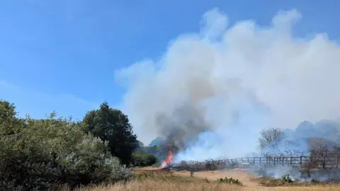Devon Wildlife Trust Flames and thick smoke rise from a grass fire beside a footpath, with dry vegetation and trees nearby.