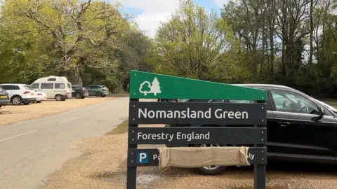 A car park. A sign in the foreground reads "Nomansland Green, Forestry England." It is black and green with a cut-in symbol of a tree on the wood. In the background several cars are parked on gravel and a road between the two sides of the car park leads into a forested area. 