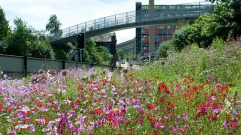 Nigel Dunnett Red, pink and purple wildflowers on Park Square Roundabout in Sheffield in 2016, with Park Hill flats and chimney in the background