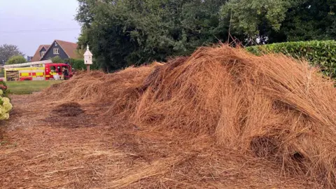 Martha Harrison/BBC Thatched roof fire in Glemsford, Suffolk