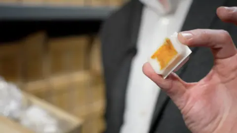 A hand holds a small white block of wax. Inside you can see the yellow-brown smudge of a bowel cancer sample. 