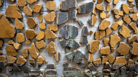 Tony Jolliffe/BBC News Fragments of plaster laid out. There are mainly yellow pieces making up square panels with darker columns in between with a pale green border. The detail shows a a series of lines with the petals and leaves of flowers amongst them.