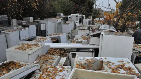 Environment Agency Several rows of fridges and freezers covered in leaves with trees in the background.