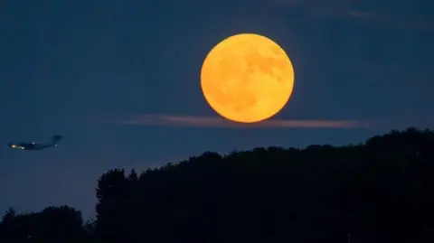 A huge orange moon over trees with a plane flying past. 