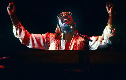 Getty Images Stevie Wonder