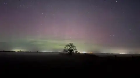 BBC Weather Watchers/Emily In the distance there is a large tree in the middle. You can slightly see the Northern Lights which have turned the sky slightly pink and yellow and there are several stars. 