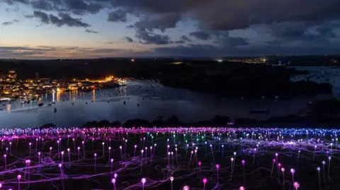 Salcombe FOL © 2024 Bruce Munro. All rights reserved. Photography by Serena Munro A close up of the fibre optic lights looking down onto Salcombe harbour. It is night and you can see the town lit up in the background. In the foreground the lights have a purple glowing orb at the top and the fibre optic cabling, which also glows, runs into the ground.