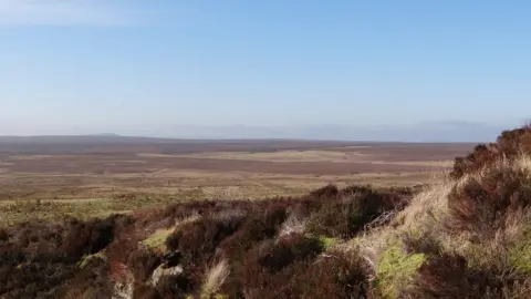 Maya Hoole Burial site