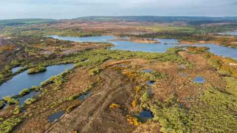 Matthew Oates/PA Media An aerial view of Studland and Godlingston Heath - green and brown heathland with small ponds of water