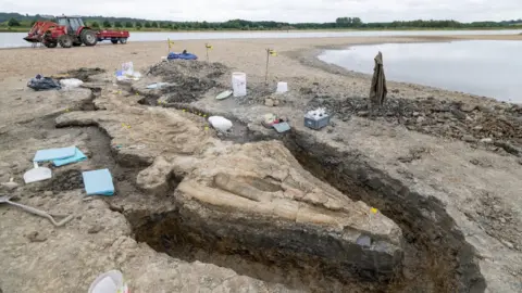 Anglian Water ichthyosaur skeleton