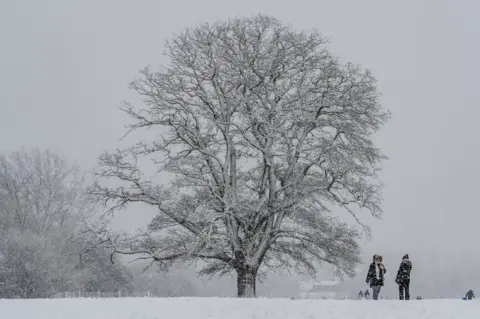Anthony Morris Snow in South Park.