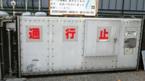 AFP This handout photograph taken on December 21, 2018 and released by the Tokyo Metropolitan Government on January 17, 2019