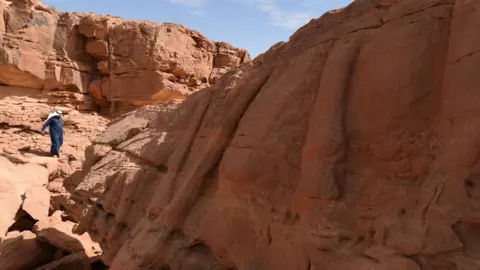 AFP Legs of camels carved into rock faces in Saudi Arabia