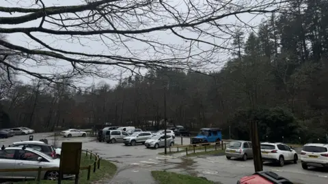 Branches of a tree in the foreground looking out over the car park and the trees behind it 
