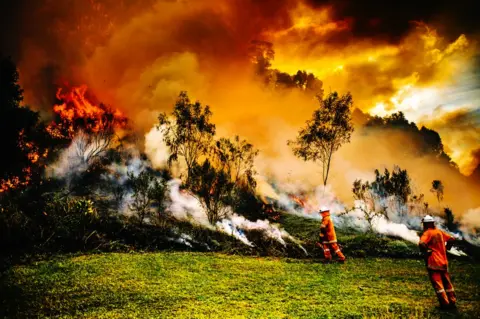 Cam Neville Firefighters battle a blaze on a hill