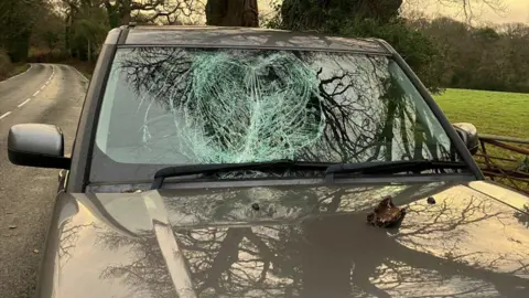 A car with a smashed windscreen - picture taken by the side of the road where the car is parked. There is some debris on the bonnet. 