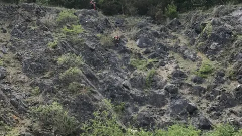 RSPCA Fire service abseiling down quarry to reach the sheep