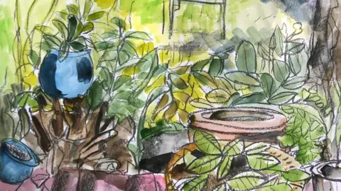 Willy Gilder Willy Gilder work