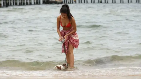 Getty Images A woman walks her dog at Port Melbourne Beach on January 15, 2019 in Melbourne, Australia. Heatwave conditions are expected across the country this week with temperatures expected to reach the mid 40s in some areas