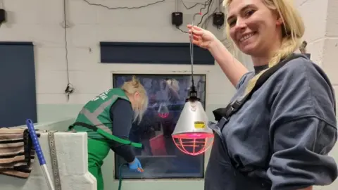 Tyneside Aquarium Senior aquarist Sophie Wilson holds up a light in a seal rehabilitation facility. It is a white environment with a person in the background wearing green uniform. Sophie, who is holding a pink light, wears a navy uniform and navy overalls. She has blonde hair which is tied in a plait. 