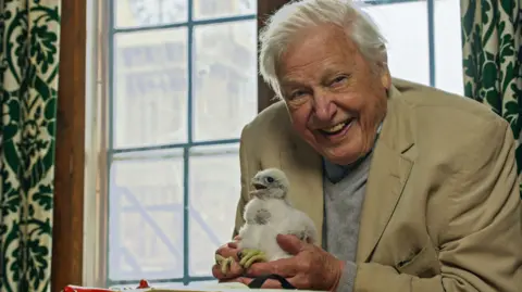 BBC/Passion Planet A man in a tan suit smiles as he holds a fluffy white chick with big talons.